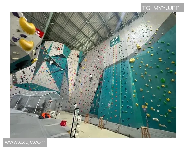 上海攀岩队边路渗透战术分析与效果评估探讨