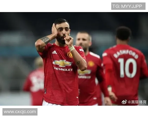 足球明星的黑猫背后隐藏的故事与秘密揭秘