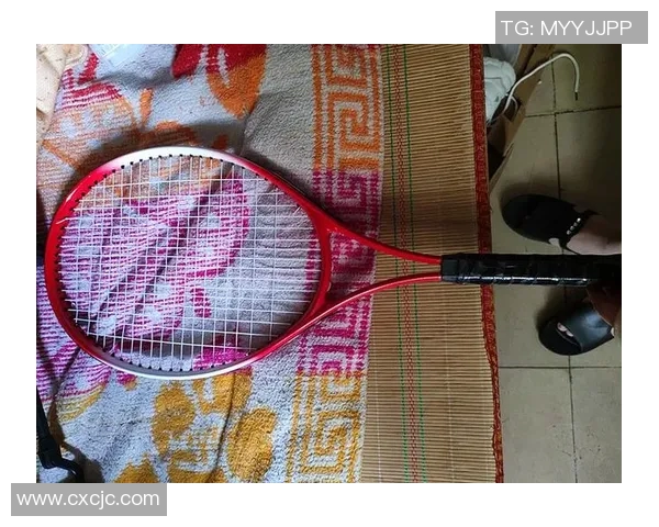 陈敏独家分享网球心得与技巧助你提升球技的秘密武器