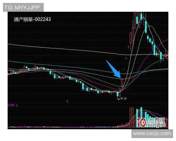 广州羽毛球队中路突破分析：成败得失与战术调整的深度探讨