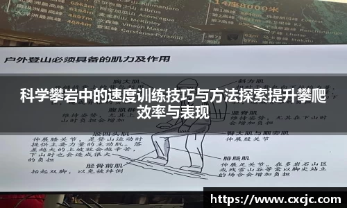 3377体育