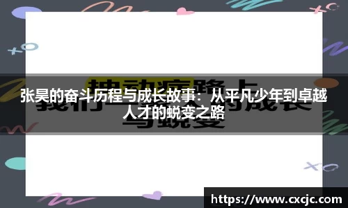 3377体育官网
