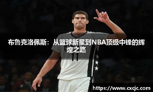 3377体育官网