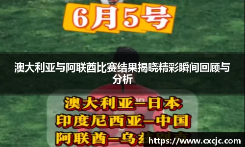 3377体育首页