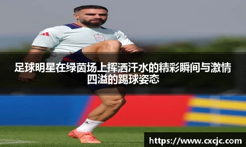 足球明星在绿茵场上挥洒汗水的精彩瞬间与激情四溢的踢球姿态
