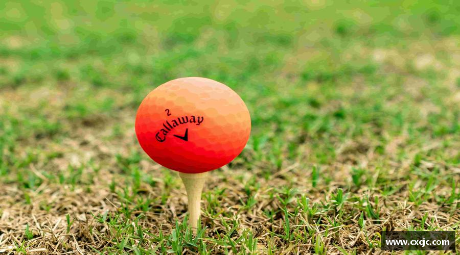 6686官网热血奔腾，激情无限！